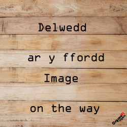 Bilidowcar - Crys t - Unisex