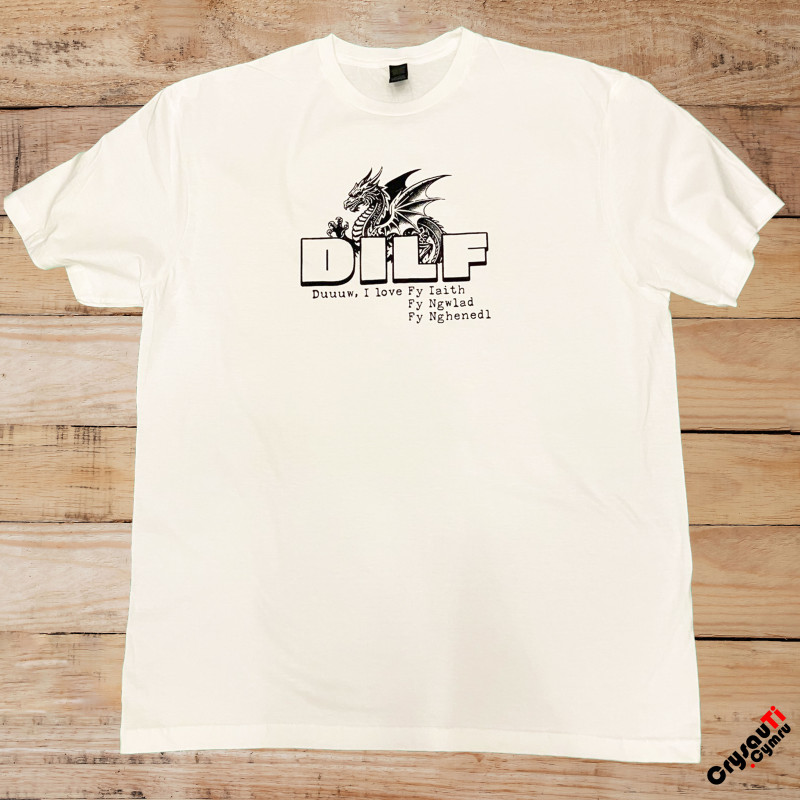 Tales for Wales Mabinogion tee