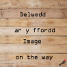 Crys-T Annibyniaeth | Independence T-Shirt | CrysauTi