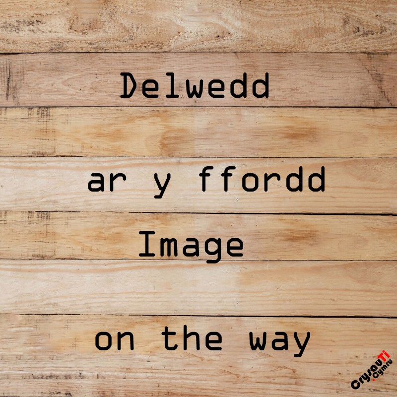 Gwyddaf T-Shirt | CrysauTi